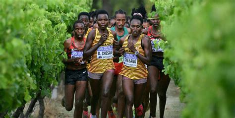 Cross Country Meet Management Template