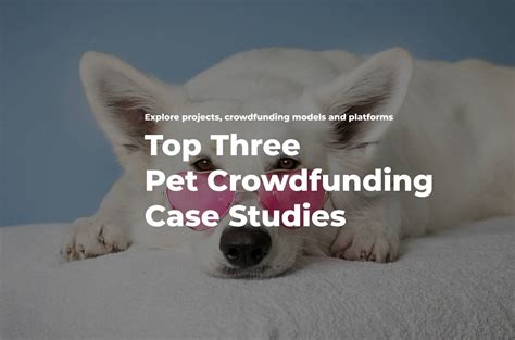 Crowdfunding for Pets