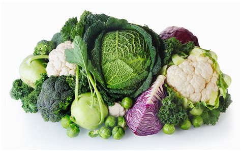 Cruciferous Vegetables like Broccoli are Choline-Rich