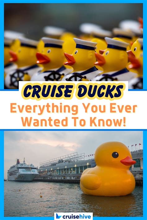 Cruising Ducks with Friends