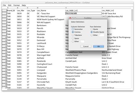 CSV file in Excel on Mac