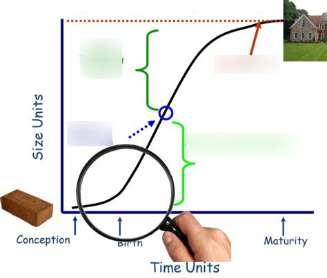 Cumulative Growth Example