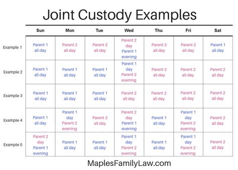 Custody schedule examples