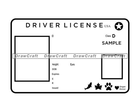 Custom Driver's License Template