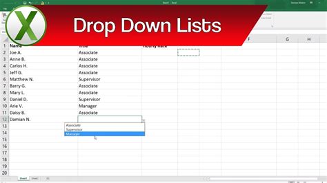 Custom Drop-Down Lists in Excel