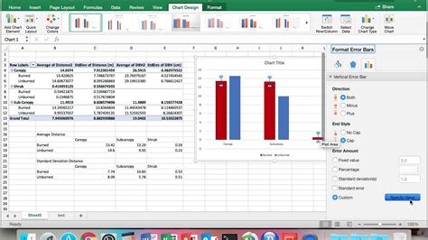 Custom Standard Deviation Bars