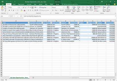 Customer Database Template with Data Analysis