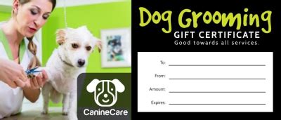 Customizable Dog Grooming Certificate Template