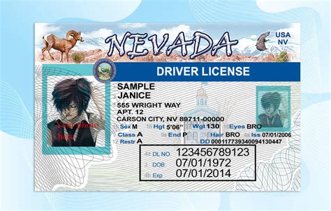 Customizable Driver License Template