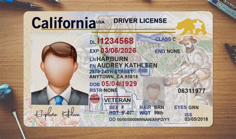 Customizable Driver License Template PSD