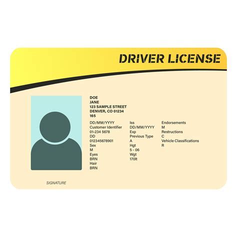 Customizable Driver's License Template