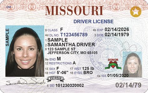 Customizable Driver's License