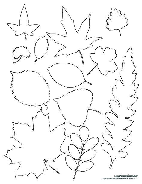 Customizable Leaf Template