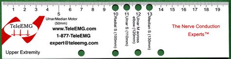 Customizable ruler template