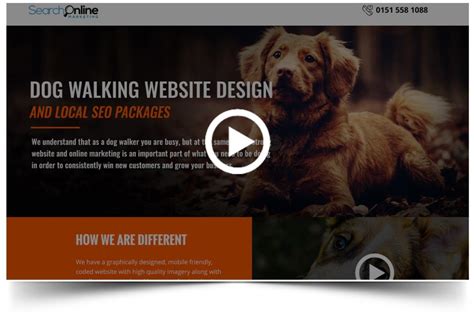 Customization Options Dog Walking Website