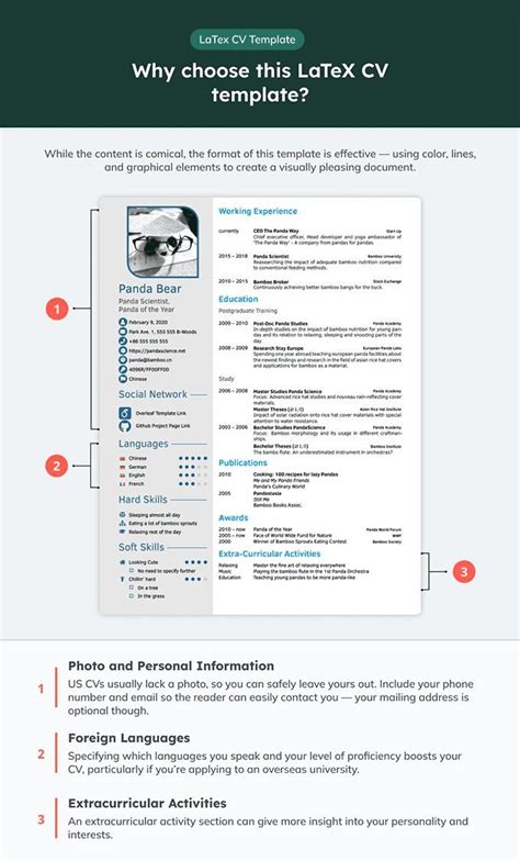 Customize LaTeX CV Template Example