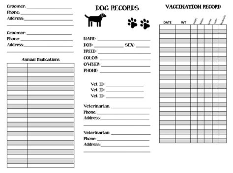 Customize Pet Health Record Template Excel