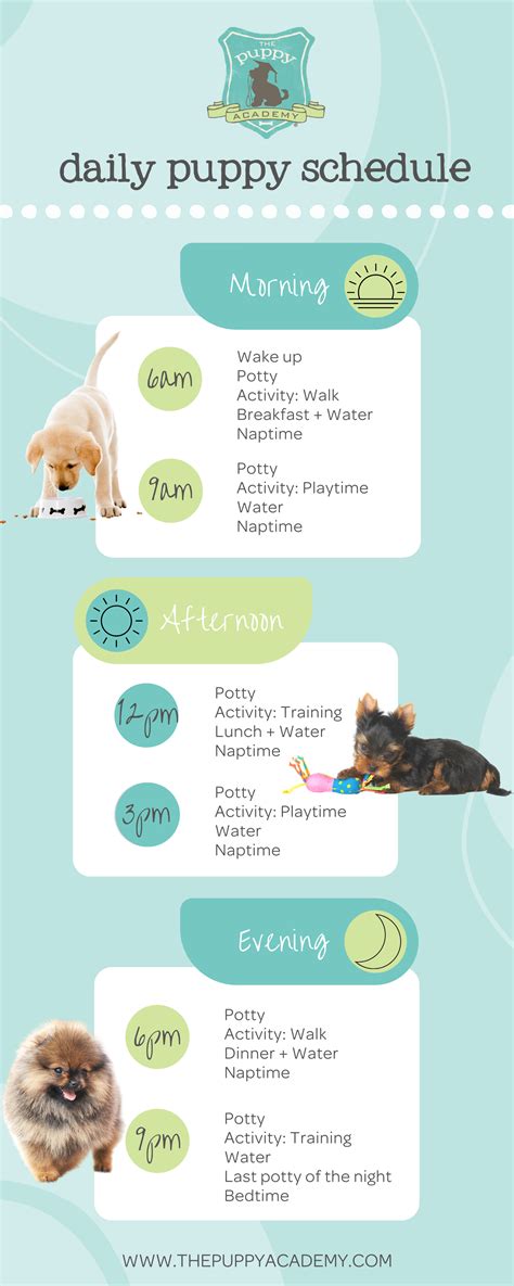 Customized Puppy Schedule