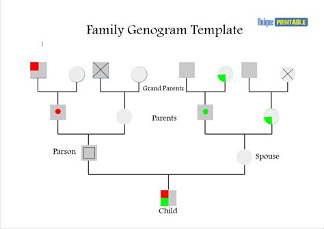 Customizing a genogram template