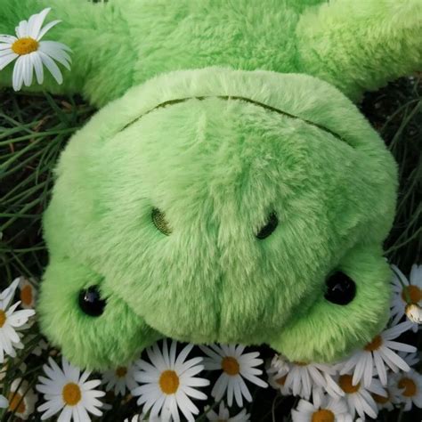 Cute Stuffed Frog