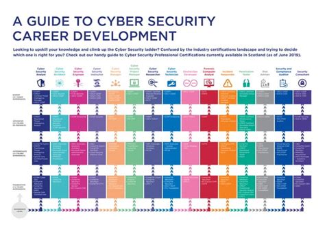 Cyber Officer Career Path