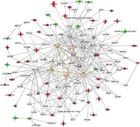 Cyber security complexity image 1