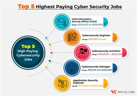 Cybersecurity Career