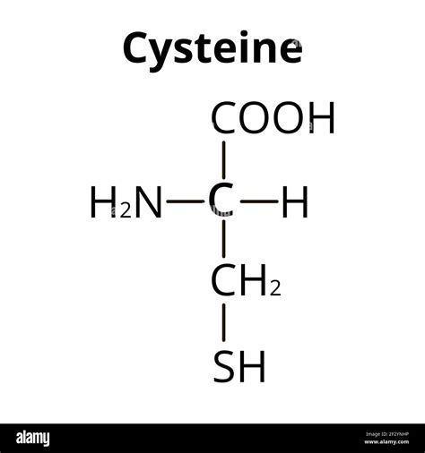 Cysteine structure illustration