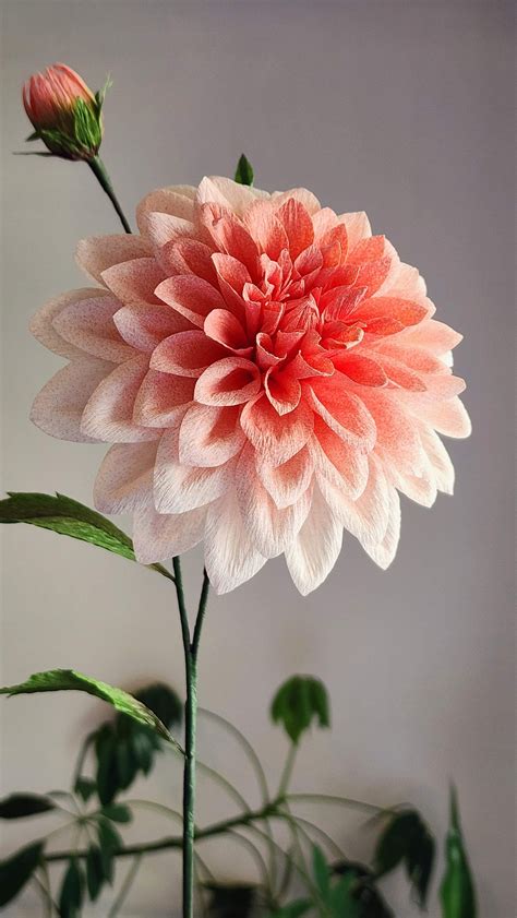 Dahlia Crepe Paper Flower