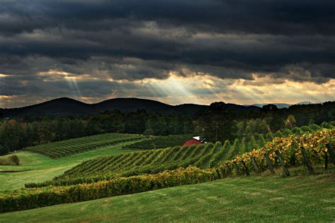 Dahlonega landscape