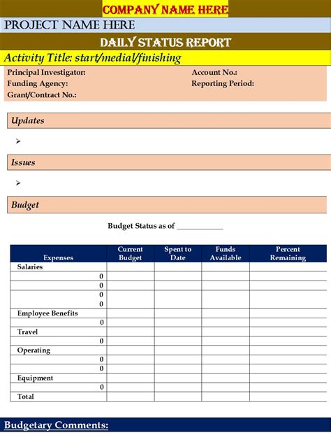 Daily Status Report Template in Excel