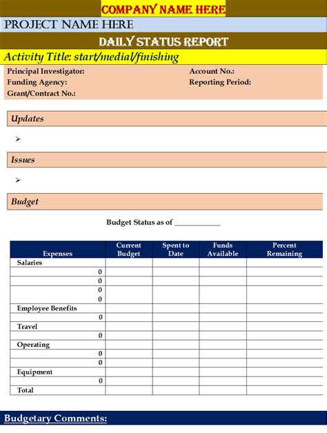 Daily Status Report Template