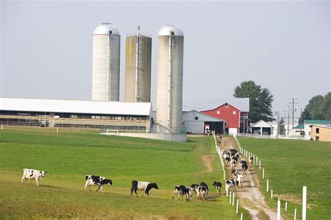 Pace Dairy Foods Farm