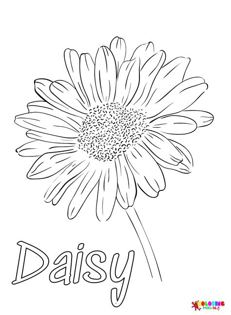 Daisy coloring page