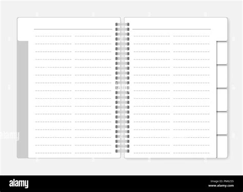 Dashed Tab Divider