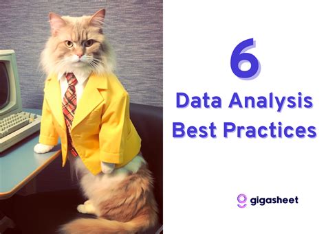 Best Practices for Analyzing Large Datasets