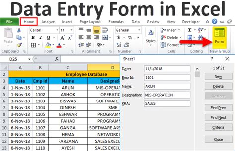 Data Entry Form