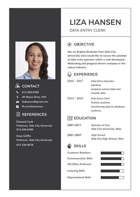 Data Entry Resume Template Excel