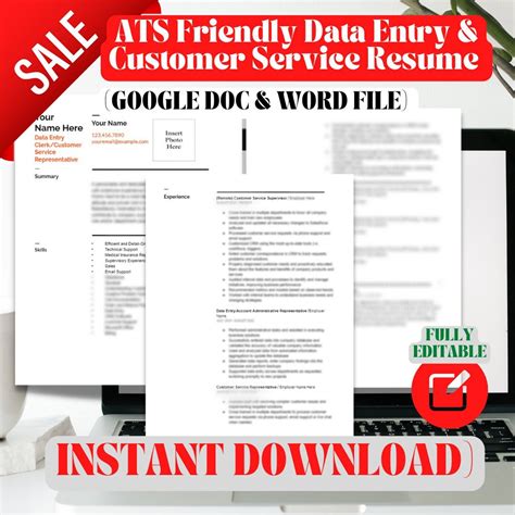 Data Entry Resume Templates Google Docs