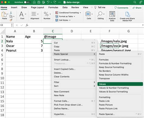 Data Merge Tools