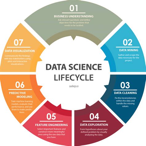 A data scientist working on a project