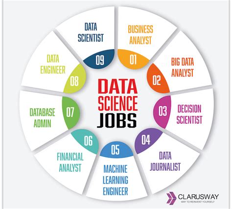 Data science career paths