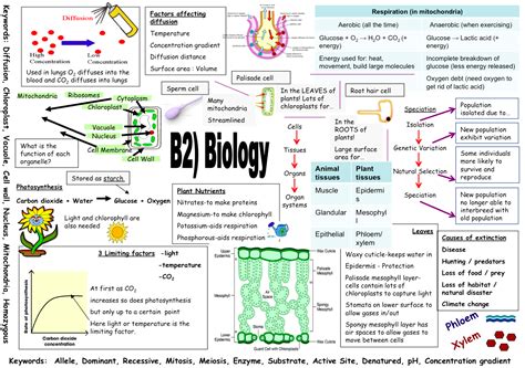 Data Science in Cell B2