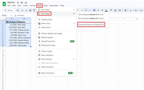 Data Sorting Options Gallery