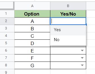 Data Validation Yes No Dropdown Example