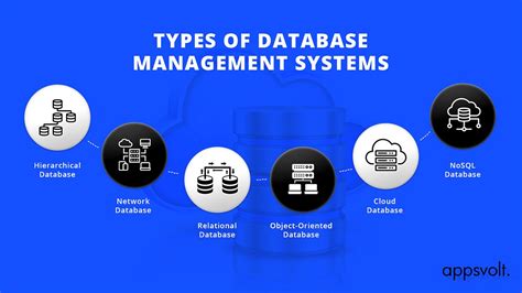 Database management in Excel