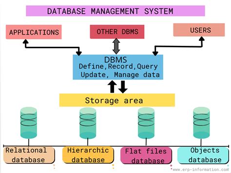 Database Management