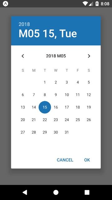 Date Picker Example 10