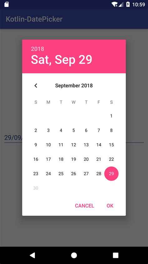 Date Picker Example 6