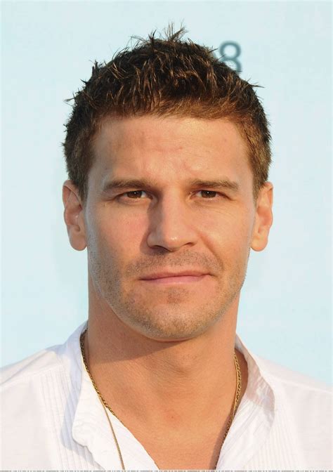 David Boreanaz in Bones